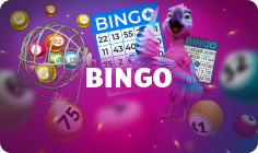 Bingo Online